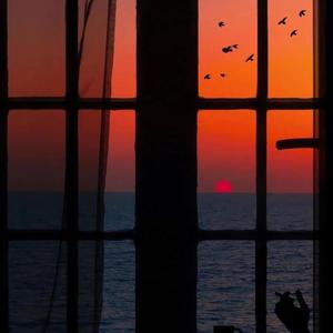 有栖花绯无码中出在线观看
