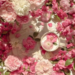 有栖花绯无码中出在线观看
